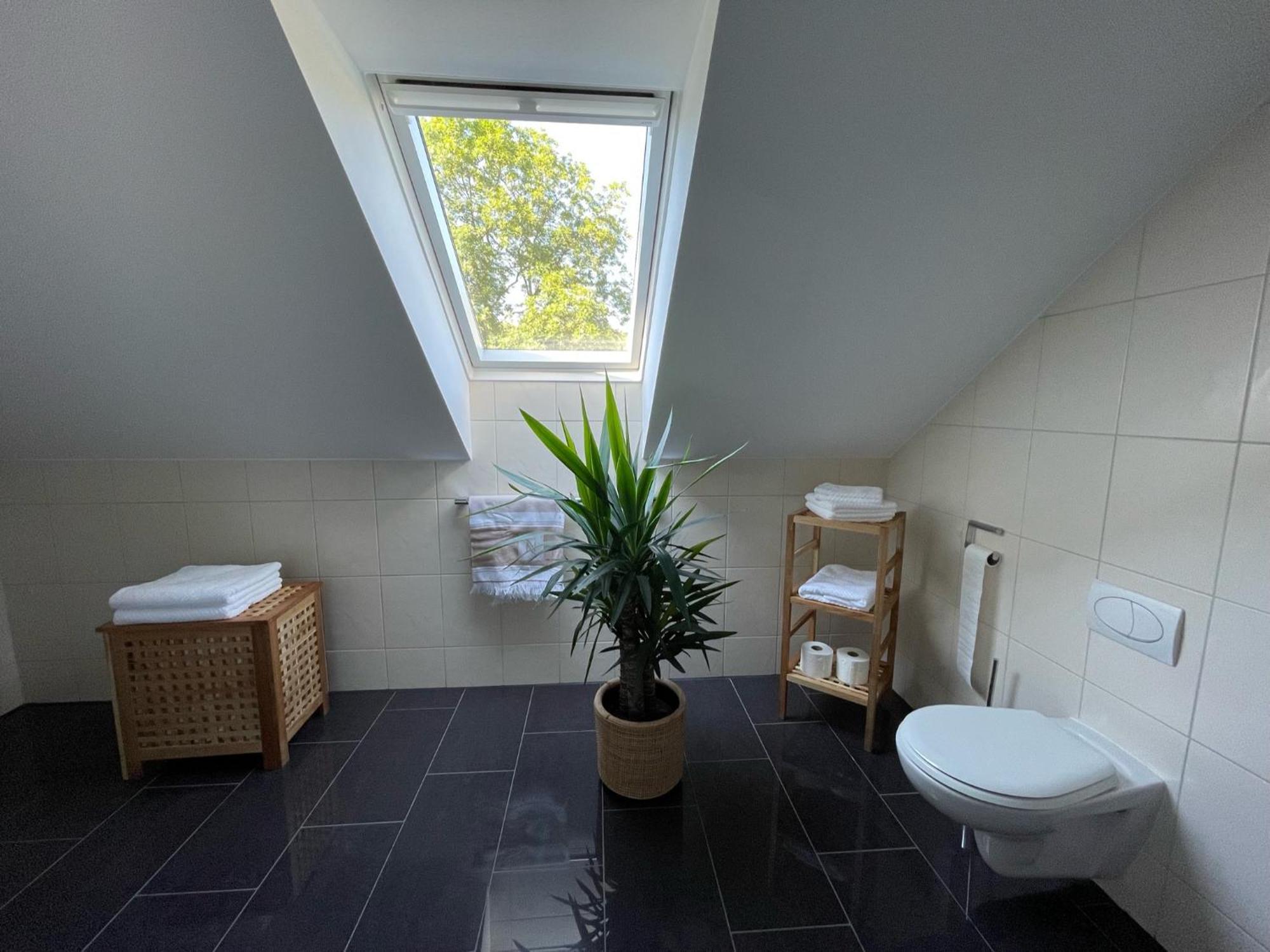 Stilvolle Wohnung Fuer 2-3 Personen - Mit Riesiger Dachterrasse Haigerloch Eksteriør bilde